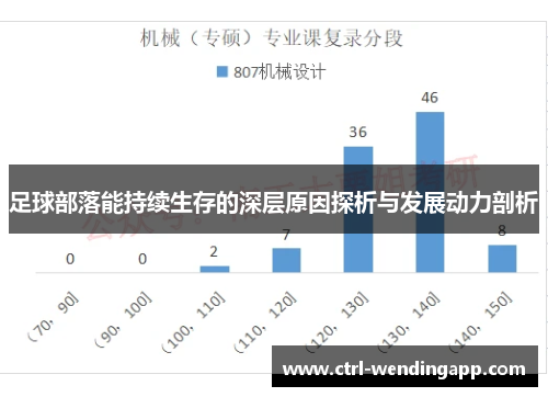 足球部落能持续生存的深层原因探析与发展动力剖析