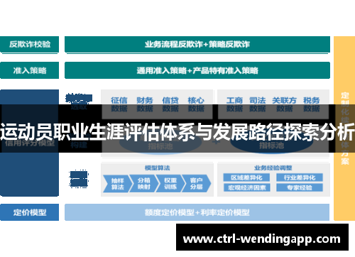运动员职业生涯评估体系与发展路径探索分析