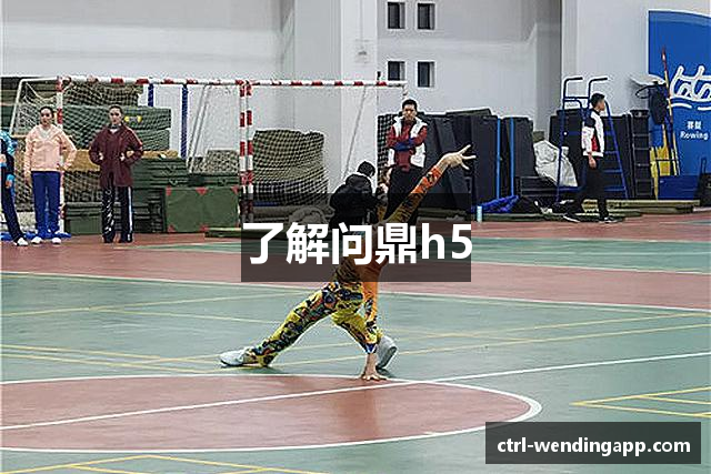 了解问鼎h5